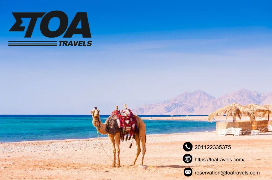 Egypt in a Week: Classic Highlights & Timeless Wonders Egypt in a Week: Classic Highlights & Timeless Wonders