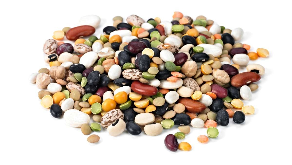 Reliable Global Partner for Coffee and Spices Trade Reliable Global Partner for Coffee and Spices Trade