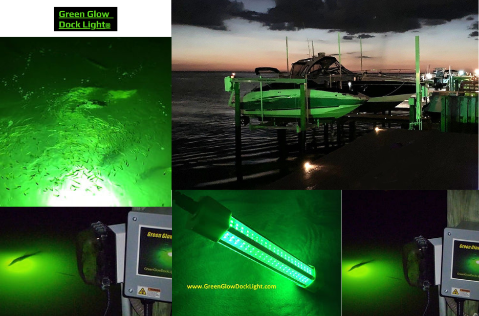 Illuminate the Night: Eco-Friendly Gear for Night Fishing Success Illuminate the Night: Eco-Friendly Gear for Night Fishing Success