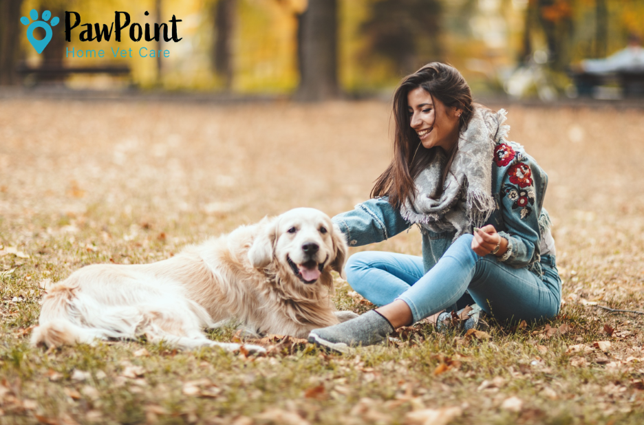 Compassionate end of life care for pets in Calgary Compassionate end of life care for pets in Calgary