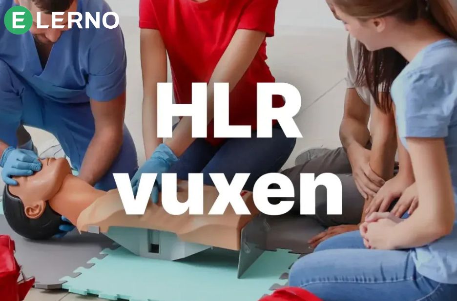 Flexibel distansutbildning i ledarskap blir verklighet Flexibel distansutbildning i ledarskap blir verklighet