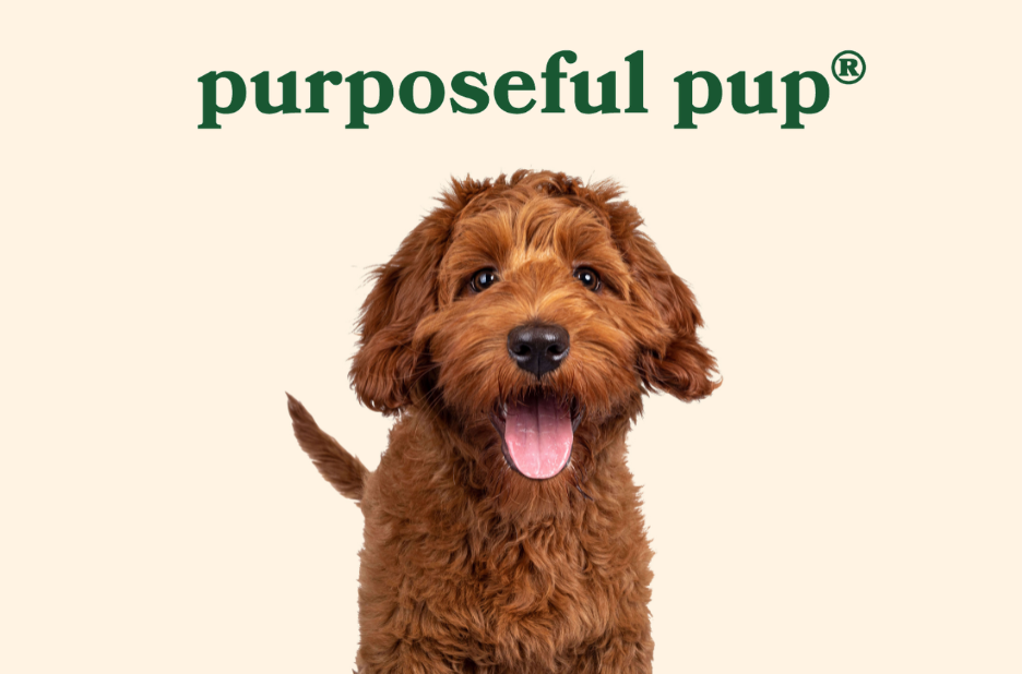 Top US Company Focused on Pets Long Term Health and Wellness Solutions Top US Company Focused on Pets Long Term Health and Wellness Solutions