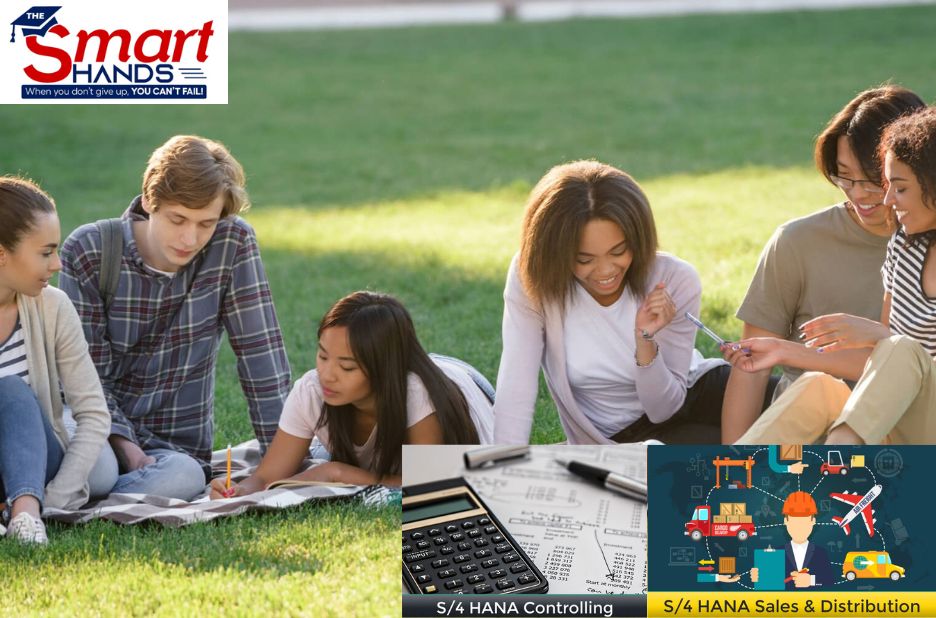 Master SAP HANA: Elevate Your SAP Career with Certification Master SAP HANA: Elevate Your SAP Career with Certification