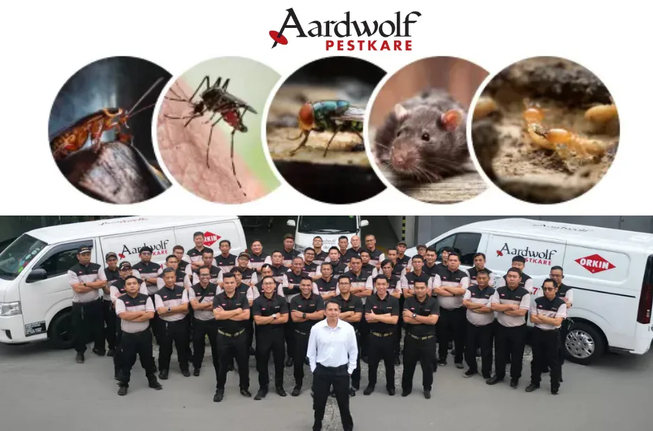 Effective Rodent Control in Singapore: Expert Tips for Safe Elimination and Prevention Effective Rodent Control in Singapore: Expert Tips for Safe Elimination and Prevention