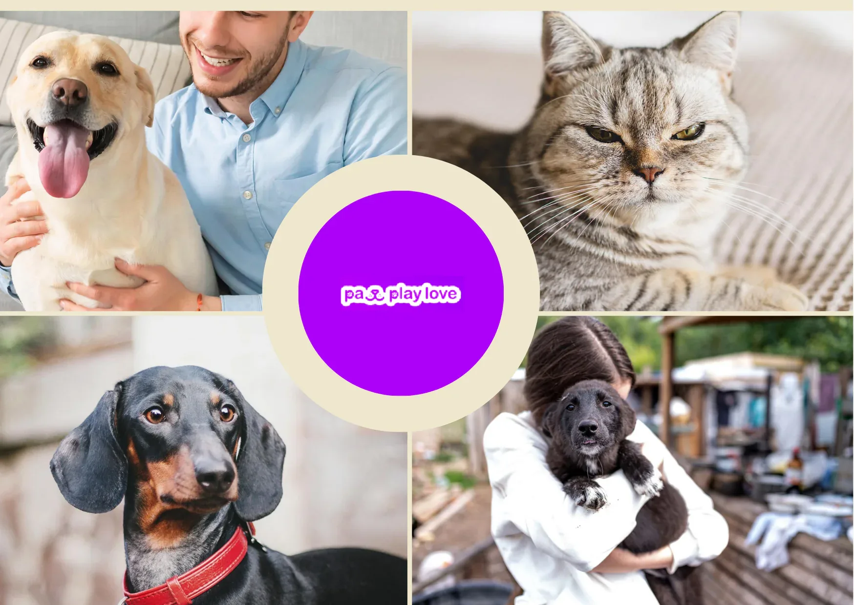 Find Puppy Play Dates Near Me for Fun and Socializing with Your Furry Friend Find Puppy Play Dates Near Me for Fun and Socializing with Your Furry Friend