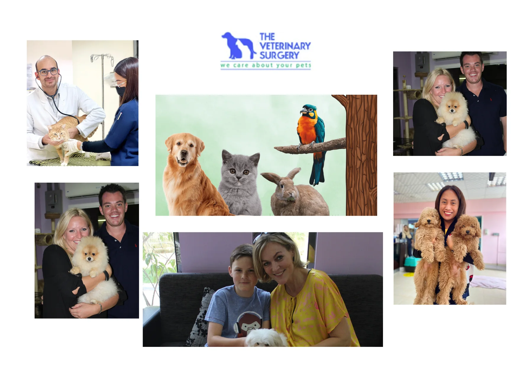 Comprehensive Pet Vet Care Qatar for Healthy and Happy Pets Comprehensive Pet Vet Care Qatar for Healthy and Happy Pets