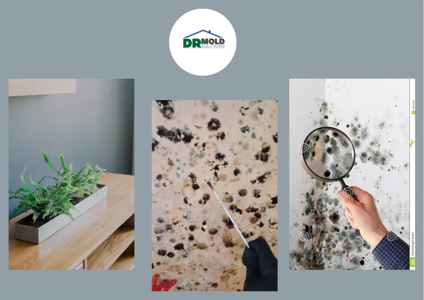 Effective Mold Air Sampling Florida Services for Cleaner Indoor Air Quality Effective Mold Air Sampling Florida Services for Cleaner Indoor Air Quality