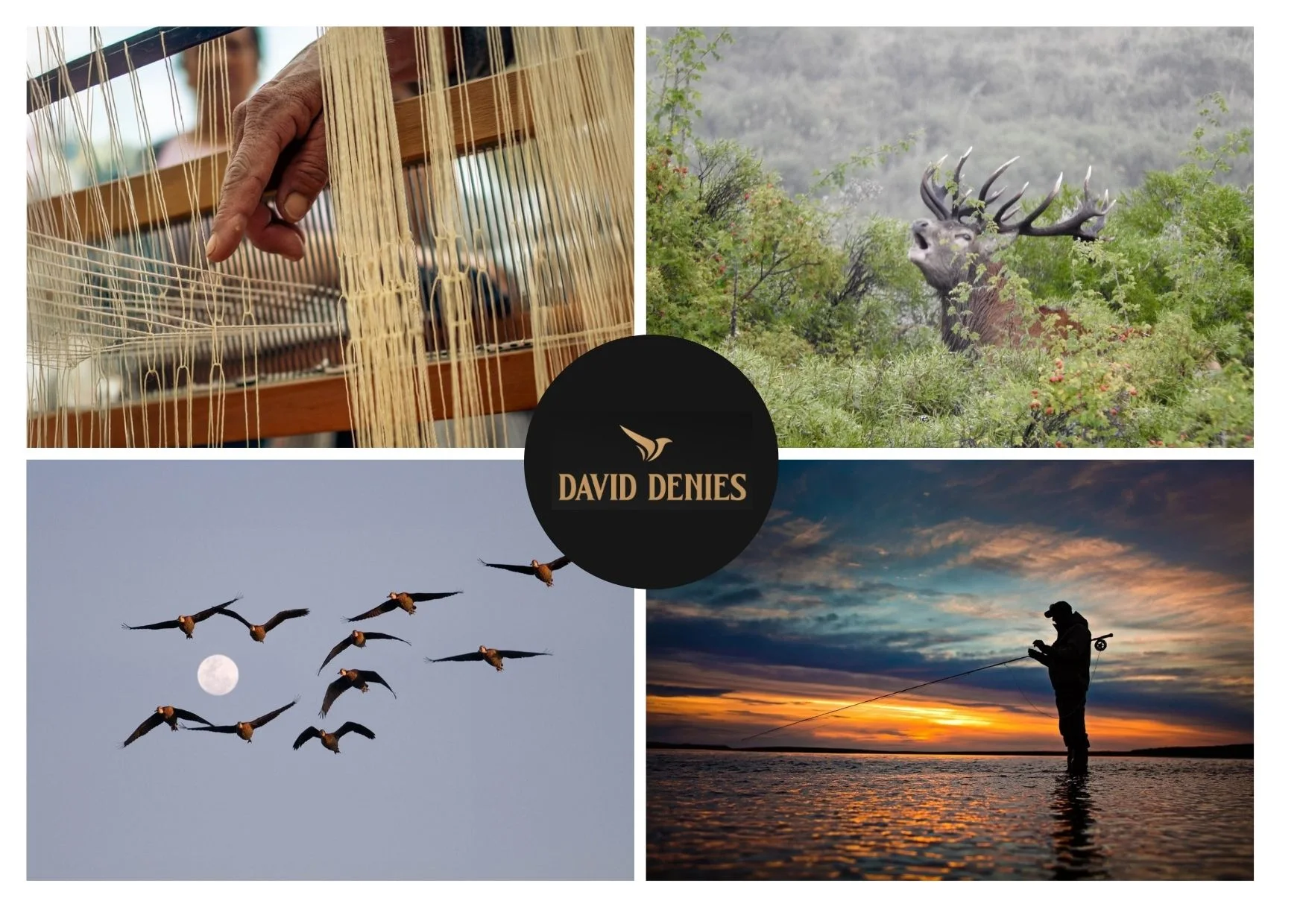 Best Dove Shooting in Santiago del Estero for Exceptional Hunting Experiences Best Dove Shooting in Santiago del Estero for Exceptional Hunting Experiences