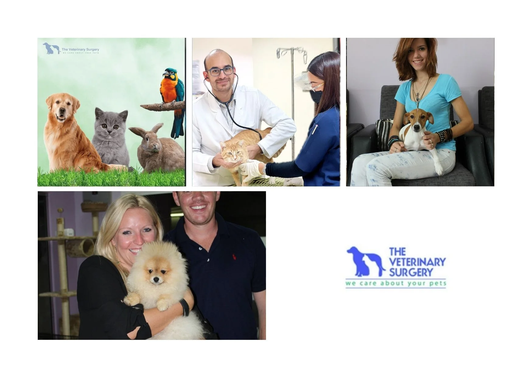 Trusted Doha Vet Services for Comprehensive Animal Care and Wellness Trusted Doha Vet Services for Comprehensive Animal Care and Wellness