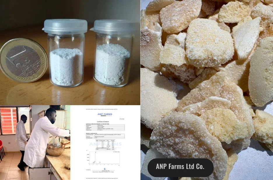ANP Farms Ltd Co: Reliable Partner for Premium Botanical Ingredients and Research Support ANP Farms Ltd Co: Reliable Partner for Premium Botanical Ingredients and Research Support