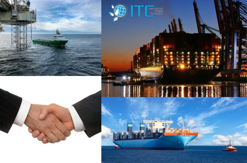 Top Bulk Commodity Trading Companies in Egypt Compared for Reliable Large-Scale Sourcing Top Bulk Commodity Trading Companies in Egypt Compared for Reliable Large-Scale Sourcing
