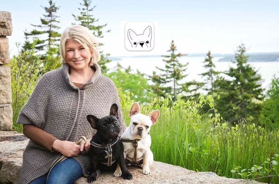 How to Use DWKC Papers Correctly: Expert Tips for French Bulldog Owners How to Use DWKC Papers Correctly: Expert Tips for French Bulldog Owners