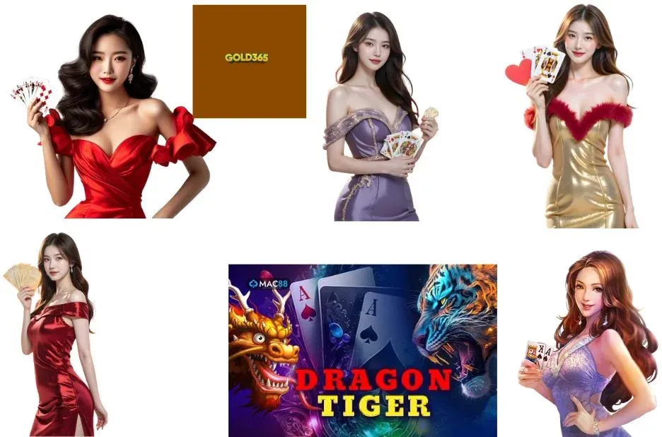 Gold365 Site Login: Compare Access Options for a Smoother Account Sign-In