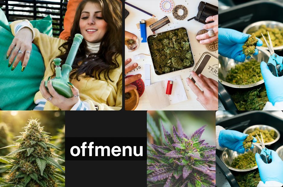 Discover Top CBD Oil Selections in Canada from Modern Curated Stores Discover Top CBD Oil Selections in Canada from Modern Curated Stores