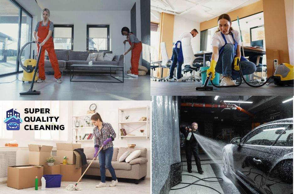 Professional Gardening Services in Auckland: Compare Maintenance Options Professional Gardening Services in Auckland: Compare Maintenance Options