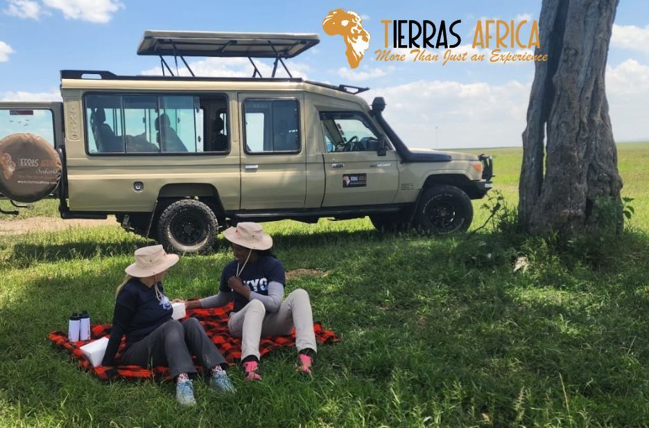 Expert Tips for Crafting a Kenya Tanzania Safari Itinerary with Tierras Africa Expert Tips for Crafting a Kenya Tanzania Safari Itinerary with Tierras Africa