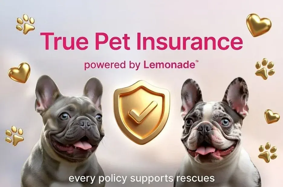 True Panion Pet Insurance: Buyer-Intent Guide to Coverage, Costs, and Claims True Panion Pet Insurance: Buyer-Intent Guide to Coverage, Costs, and Claims