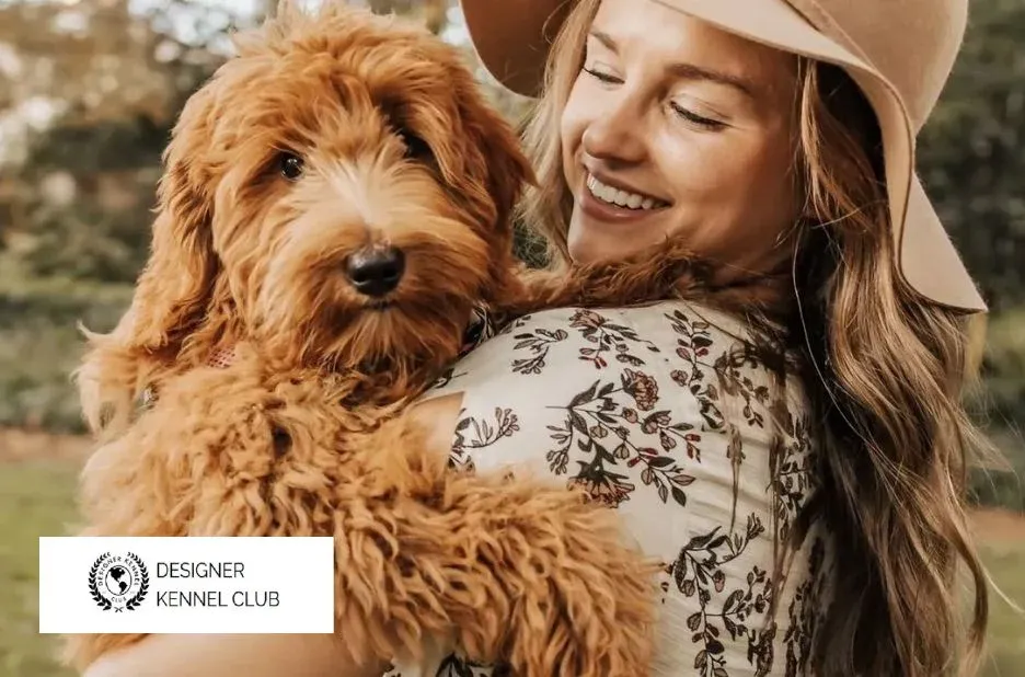 CKC Registration Checklist: Get Your Designer Kennel Club Guest Post Approved CKC Registration Checklist: Get Your Designer Kennel Club Guest Post Approved