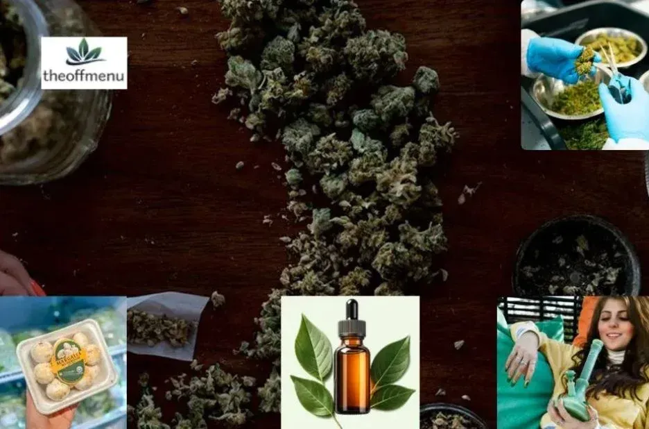 How a Cannabis Shop Can Grow with Subscriptions and Stronger Customer Loyalty How a Cannabis Shop Can Grow with Subscriptions and Stronger Customer Loyalty