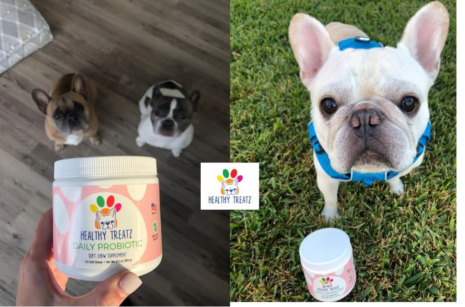 Healthy Petz: Practical Tips to Solve Common Health Issues Naturally Healthy Petz: Practical Tips to Solve Common Health Issues Naturally