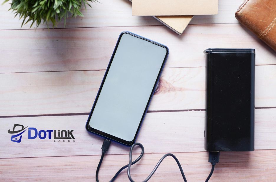 Green Lion Products in Sri Lanka: Quick Buying Checklist at Dotlinklanka.lk Green Lion Products in Sri Lanka: Quick Buying Checklist at Dotlinklanka.lk
