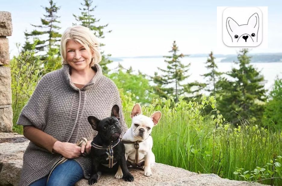 Checklist Guide: How to Get Papers for a Dog Without Papers (Guest Post) Checklist Guide: How to Get Papers for a Dog Without Papers (Guest Post)