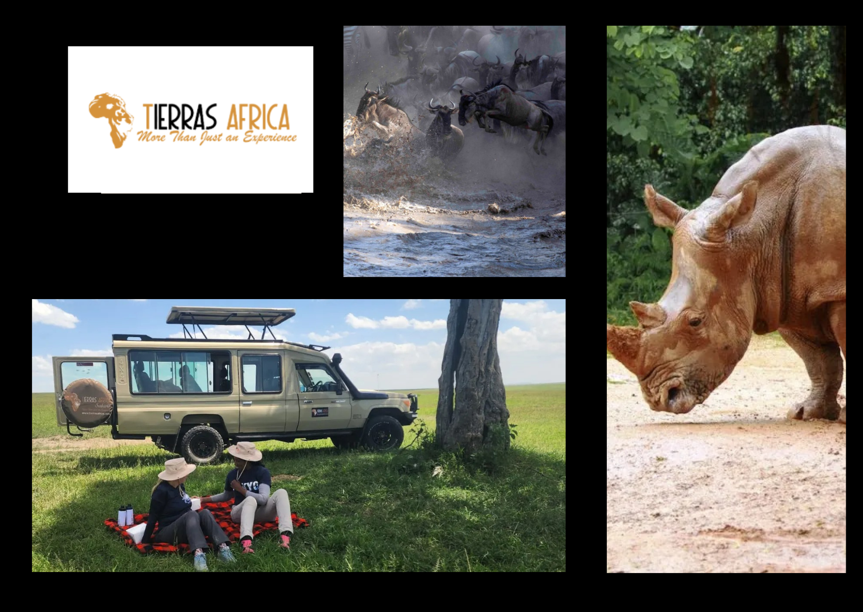 Amboseli and Kilimanjaro: Wildlife Views by Local Guides Amboseli and Kilimanjaro: Wildlife Views by Local Guides